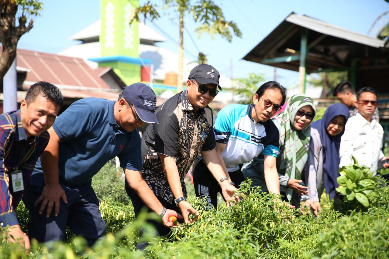 Pj Walikota Makassar Kunjungi Kawasan Peduli Inflasi di KelurahanTimungan Lompoa