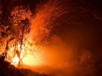 Lakukan Penyelidikan Penyebab Kebakaran Lahan di Sumsel, KLHK Segel 8 Peruhasaan