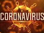 Pemerintah Indonesia Harus Mengambil Langkah Tegas Menyikapi Persoalan Wabah Coranavirus