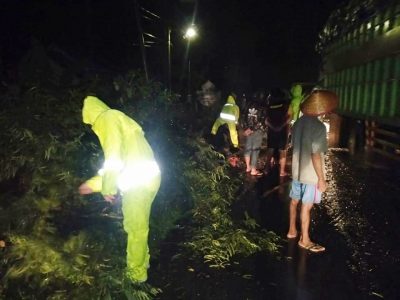 Tim SAR Yon C Pelopor Evakuasi Pohon Tumbang