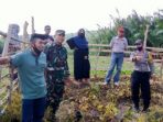 TMMD ke 108 Kodim 1425/Jeneponto Berikan Penyuluhan Pertanian kepada Warga