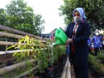 Idolakan Danny-Fatma, Kebun Warga Bakung Dinamakan Idamanta