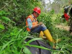 Lestarikan Lingkungan, HSE Emporium Bukit Marmer: Kami Bisa Jaga Ketersediaan Air di Bontocani